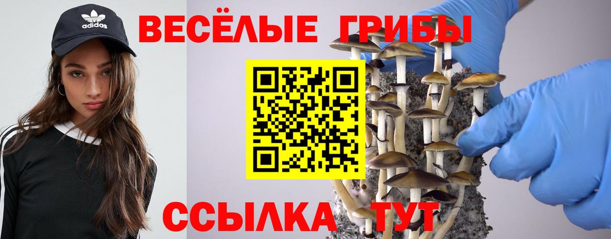 Псилоцибиновые грибы Magic Shrooms  Вход с VPN  Петрозаводск 