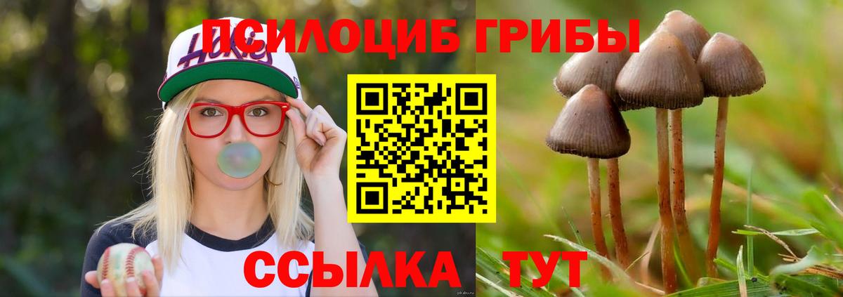 Псилоцибиновые грибы прущие грибы Петрозаводск